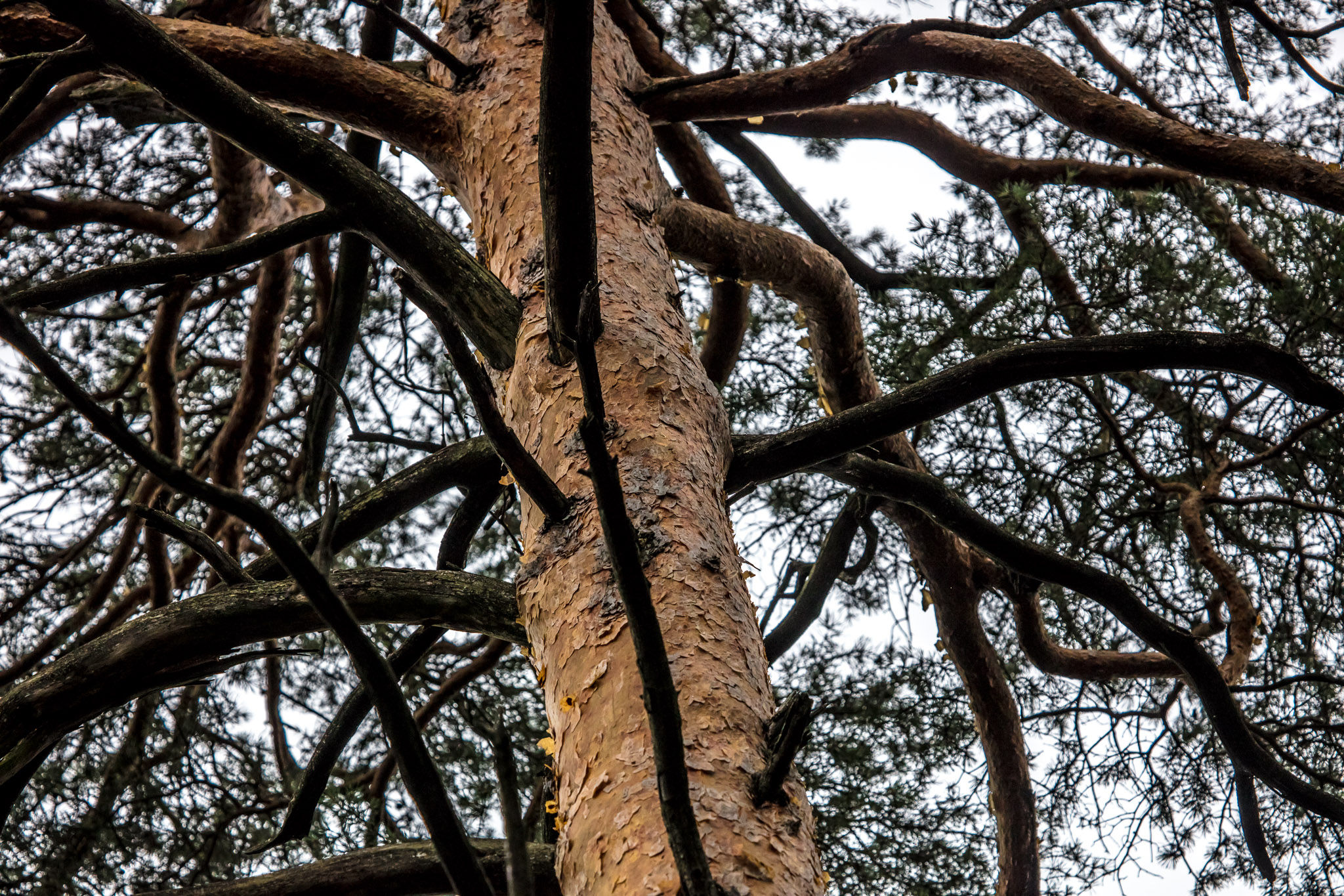 20210725101523 017903